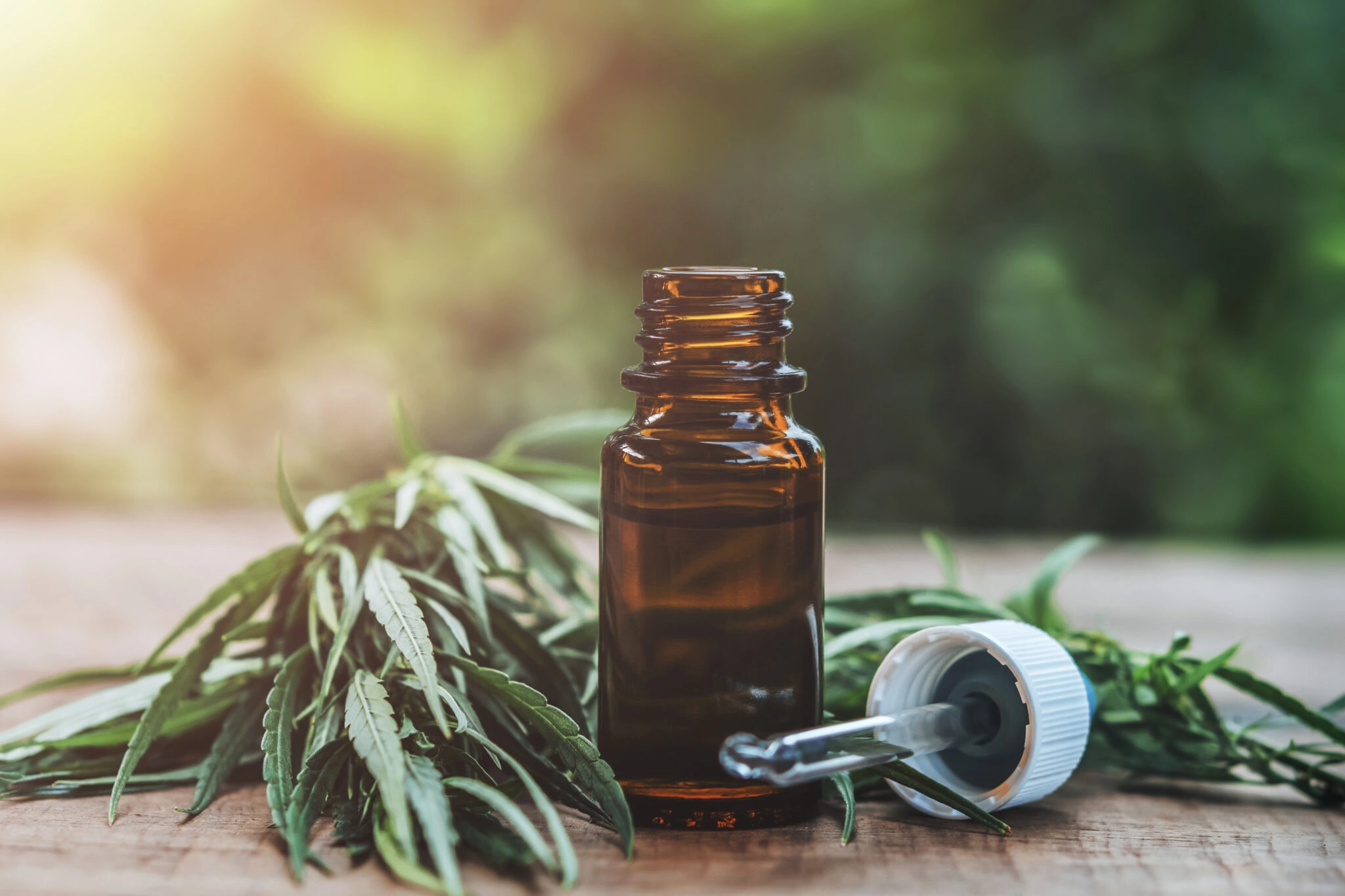 European cannabis