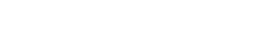 stifel-iris-logo